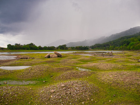 Rocks in the grasslands of the Khlong Din Daeng reservoir during the rainy seasonの写真素材
