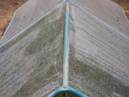 Growing seedlings in a closed plastic greenhouseの写真素材