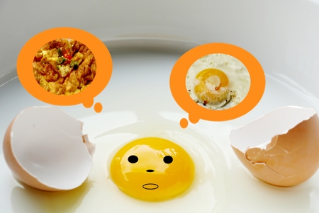Suspect Of The Egg Yolk