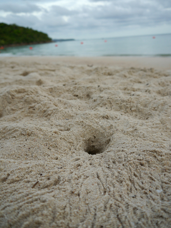 pole on sand, nature backgroundの写真素材