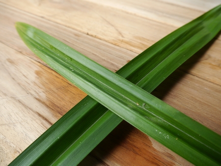 pandan leaves on wooden backgroundの写真素材