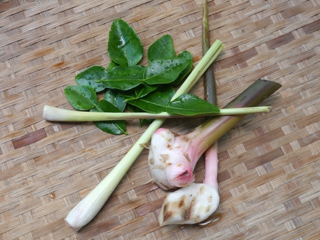 Combine Soup on Threshing basketの写真素材