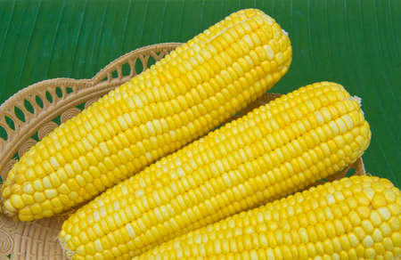 uncooked corn
