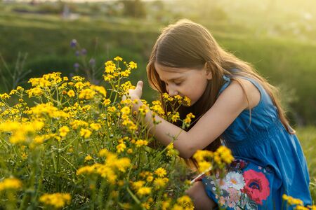 Little girl enjoys the smell of flowers in the meadowの写真素材