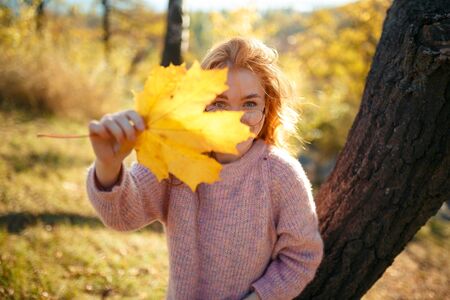 Portraits of a charming red-haired girl with a cute face. Girl posing in autumn park in a sweater and a coral-colored skirt. In the hands of a girl a yellow leaf.の写真素材