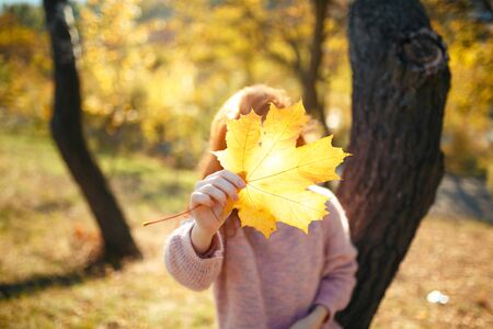 Portraits of a charming red-haired girl with a cute face. Girl posing in autumn park in a sweater...