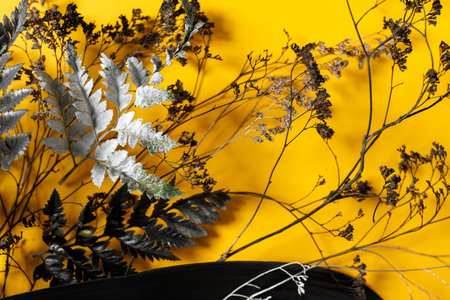 preparation for a future postcard. Dried flowers on a colored backgroundの写真素材