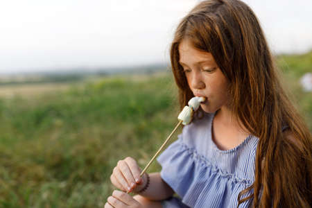 charming girl in a blue dress fries marshmallows in natureの写真素材