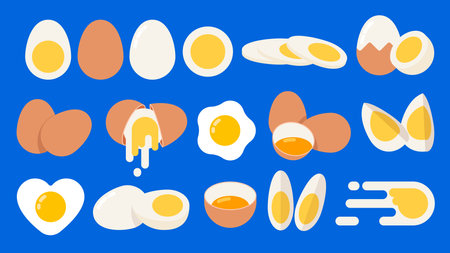 Set of Yellow white Egg, half, quarter and Slices of Boiled egg, hatched egg, peeled, raw egg, long and cross sections, different positions, simple flat vector illustrationのイラスト素材