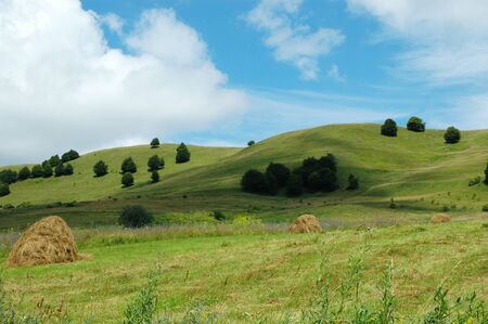 Landscape with green grass, haystack and blue skyの写真素材