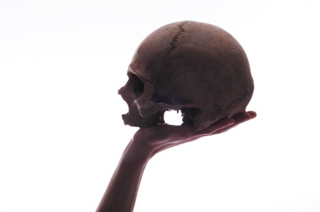 Hand holding a skull isolated on white