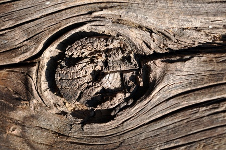 Old wooden background with knot