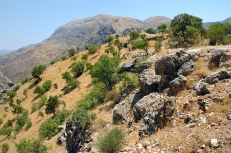 Arid lanscape in Northern Kurdistan, Eastern Turkey