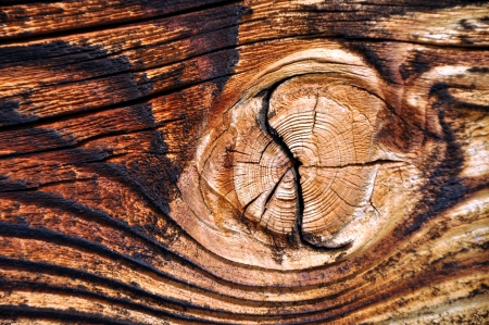 Wooden texture background with knotの写真素材