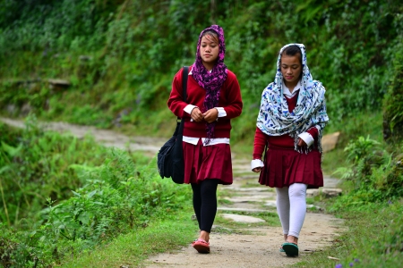 GHANDRUK - OCT 1  School girls going in the school early in the morning  In the Himalayas, they have to walk between 5 and 6 miles in the mountains each day to reach their school  On Oct 1, 2013 in GHANDRUK, Nepalのeditorial素材