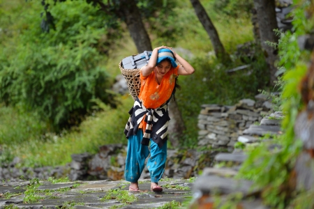 GHANDRUK - OCT 6  A young Gurung woman carrying a basket in the mountains  Gurungs are the biggest ethnic group and part of them working as Sherpas in the Himalayas  On Oct 6, 2013 in Ghandruk, Nepal のeditorial素材