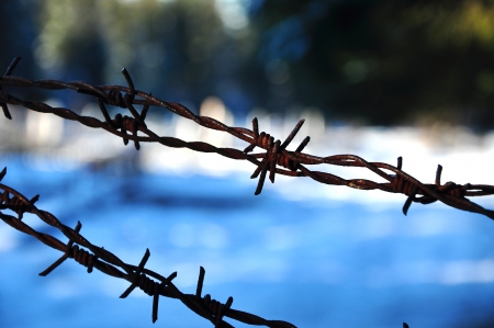 Metallic barbed wire fenceの写真素材