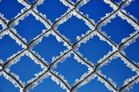 Winter background with a lattice covered by ice crystalsの写真素材
