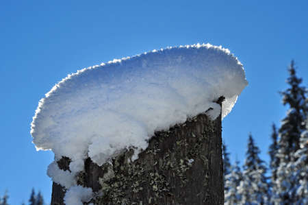 Wooden fence in winter with snow and ice crystals on topの写真素材