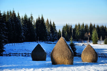 Snow covered haystacks at winterの写真素材