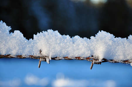 Metallic fence in winter with snow and ice crystals on topの写真素材