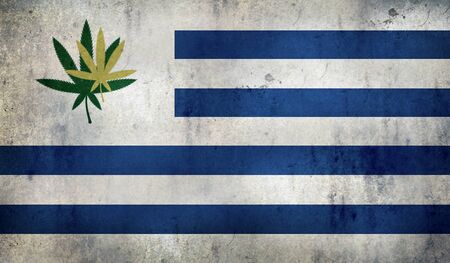 Grunge flag of Uruguay with a cannabis leaf  Uruguay becomes first country to legalize marijuana tradeの写真素材