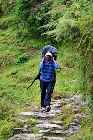 LANDRUK, NEPAL - OCTOBER 1  A Gurung Sherpa carrying a heavy bag in the Himalayas to the Annapurna Base Camp  On October 1, 2013 in Landruk, Nepal のeditorial素材