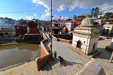 PASHUPATINATH  OCTOBER : Cremation ghats and ceremony along the holy Bagmati River. Hundreds of earthquake victims were cremated here after the catastrophe. On October 8 2013 in Pashupatinath Nepalのeditorial素材