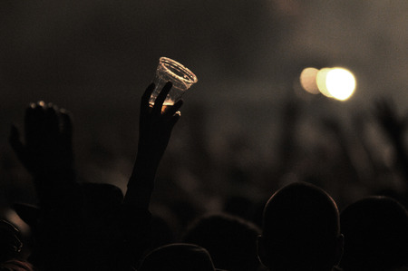 BONTIDA - JUNE 26, 2015: Crowd of partying people during a Fatboy Slim live concert at Electric Castle Festival on June 26, 2015 in the Banffy castle in Bontida, Romaniaのeditorial素材