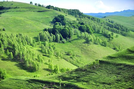Spring landscape in the mountainsの写真素材