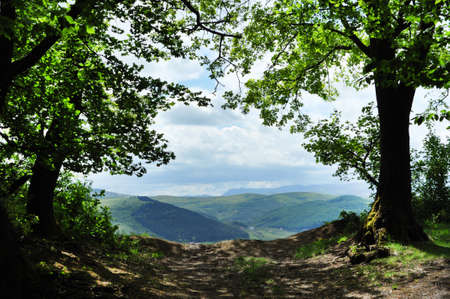 Spring landscape