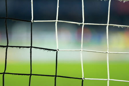 Soccer goal net