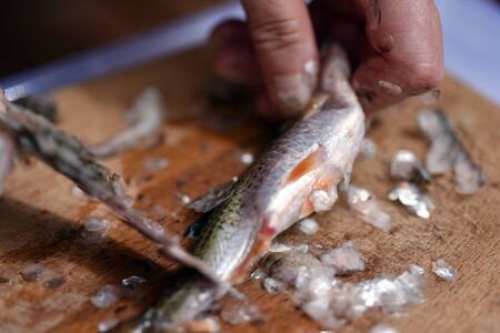 Fisherman cleaning a fish for dinnerの写真素材