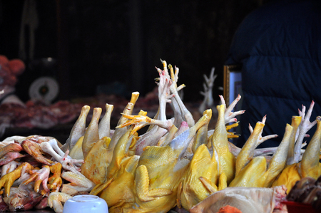 Fresh chickens in an Asian meat market, Vietnamの写真素材