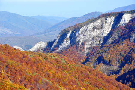 Autumn fall. Colorful autumn forest landscape in the mountainsの写真素材