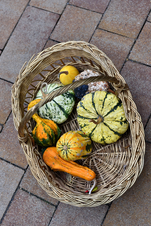 Pumpkins in a basket. Autumn conceptの写真素材
