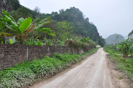 Vietnam landscape. Rice fields and karst towers in monsoonの写真素材