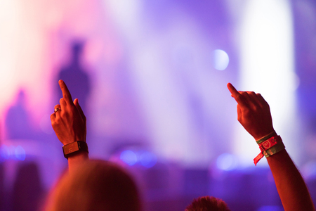 BONTIDA, ROMANIA - JULY 15, 2017: Crowd of cheering people enjoying a concert performed by Subcarpati band at Electric Castle festivalのeditorial素材
