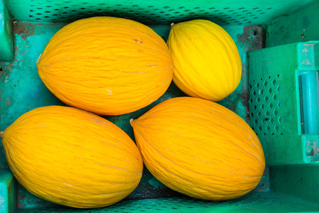Yellow melons in a green plastic basketの写真素材