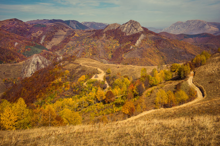 Mountain autumn landscape with colorful forest. Filtered imageの写真素材