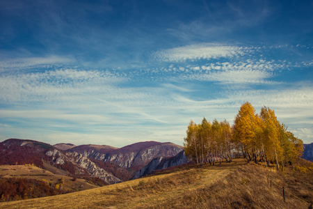 Mountain autumn landscape with colorful forest and birch trees. Filtered imageの写真素材