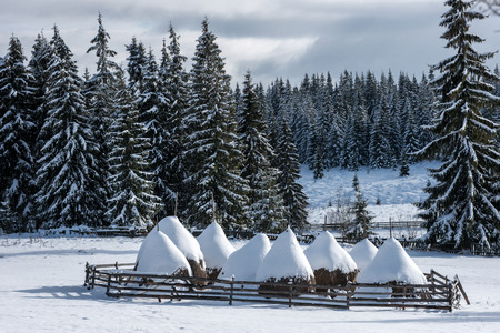 Snow covered haystacks. Winter rural scene in the mountains