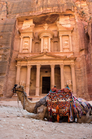 Camel resting in the front of the Treasury. Petra, Jordan. Ancient stone carving made by the Nabatean civilizationの写真素材