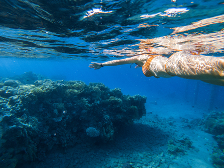 Woman snorkeling underwater above coral reef. Red sea, Eilat, Israel