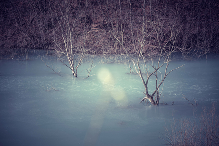 Dying vegetation. Water contaminated by copper mining residuals. Rosia Montana, Romaniaの写真素材