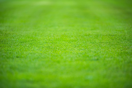 Clean empty football grass field. Green grass seamless texture on soccer pitchの写真素材