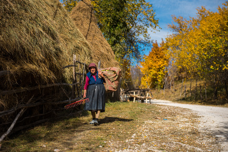 RAMET, ROMANIA - OCTOBER 19, 2017: An old woman carrying hay for livestock in the rural area of Transylvania at autumnのeditorial素材
