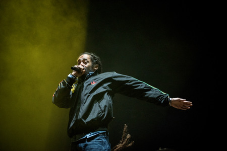 BONTIDA, ROMANIA - JULY 18, 2018: Damian Marley, four time Grammy award winner, and the son of reggae legend Bob perfoming a live concert at Electric Castle festivalのeditorial素材