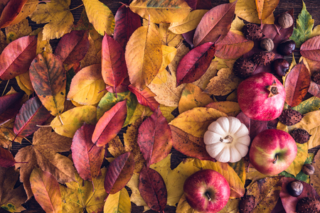 Autumn still life concept background. Fall leaves, harvest, goodies on table top. Thanksgiving postcardの写真素材