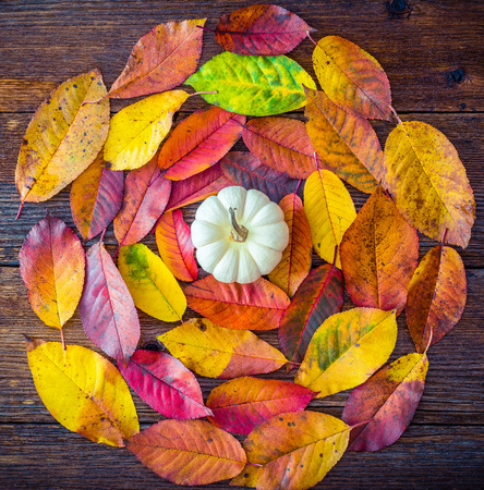 Autumn composition with colorful leaves and white pumpkinon wooden tableの写真素材